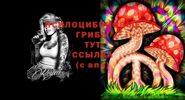 spice Балахна
