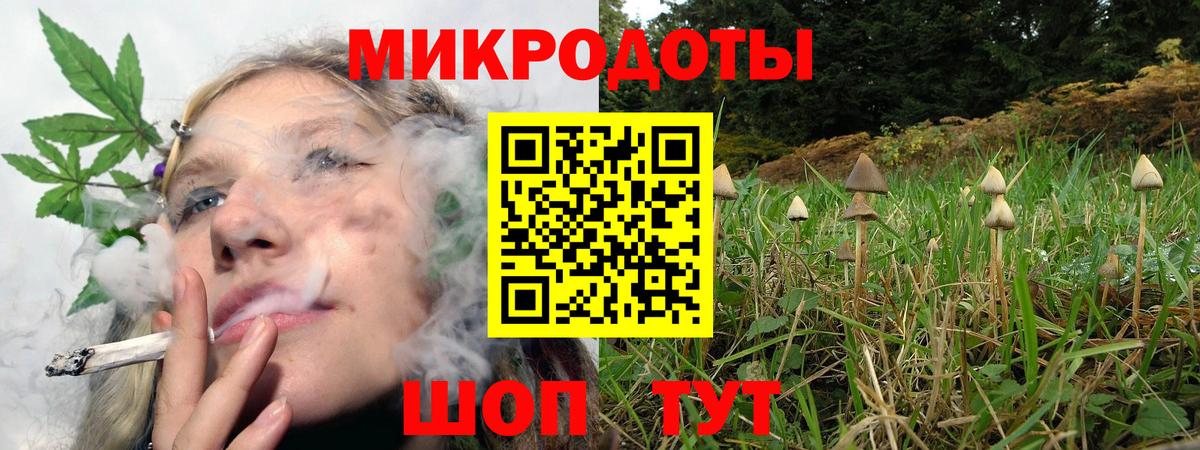 Псилоцибиновые грибы MAGIC MUSHROOMS  Вход с VPN  Галлюциногенные грибы Psilocybine cubensis  Ефремов 