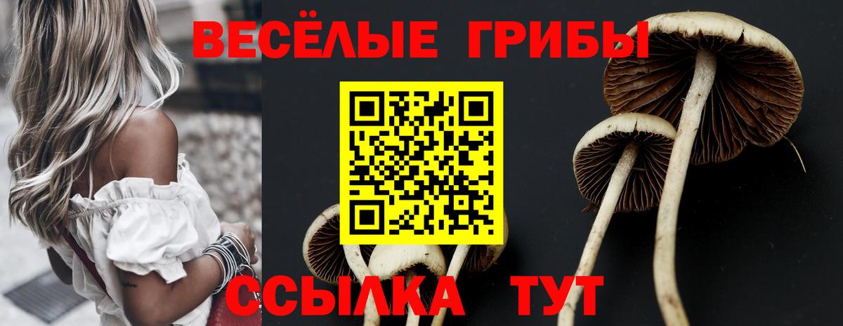 Псилоцибиновые грибы мицелий  Галлюциногенные грибы Cubensis  Ефремов 